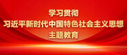 大鸡巴操骚逼大鸡巴操逼的POV视角学习贯彻习近平新时代中国特色社会主义思想主题教育_fororder_ad-371X160(2)